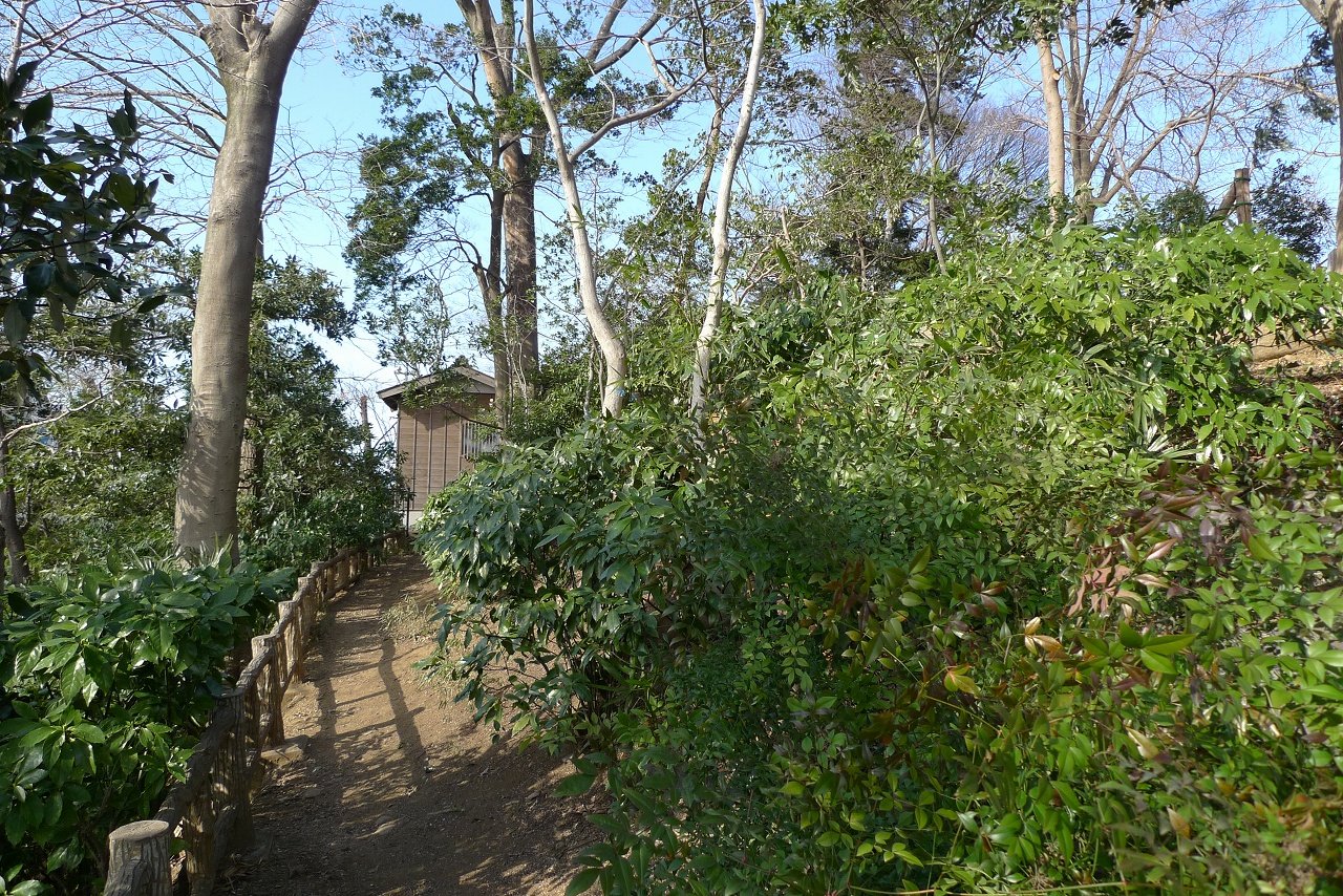 s-P1330205