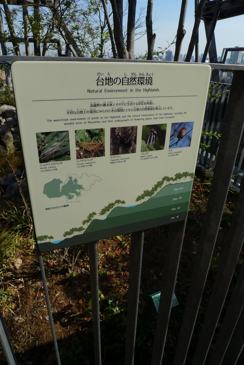 s-P1140285