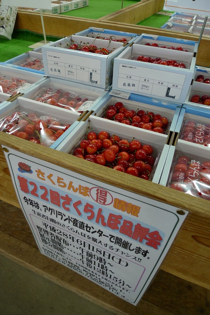 s-P1200120
