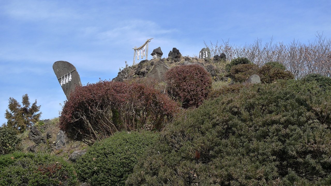 s-P1130492