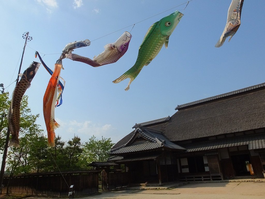 s-DSCF0238
