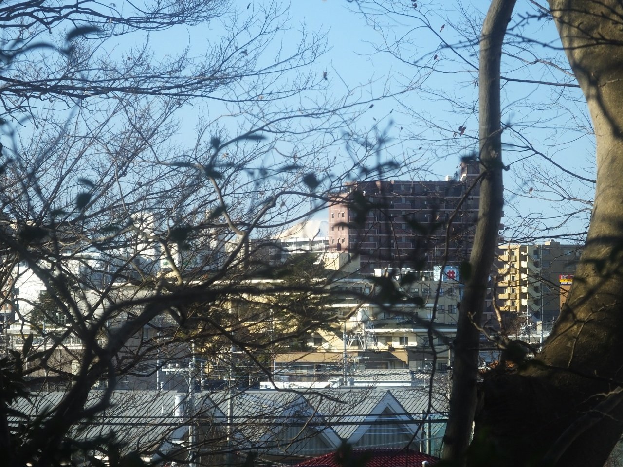 s-DSCF0470
