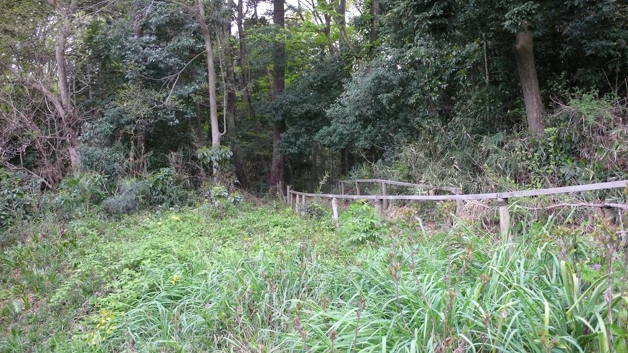 s-P1620858