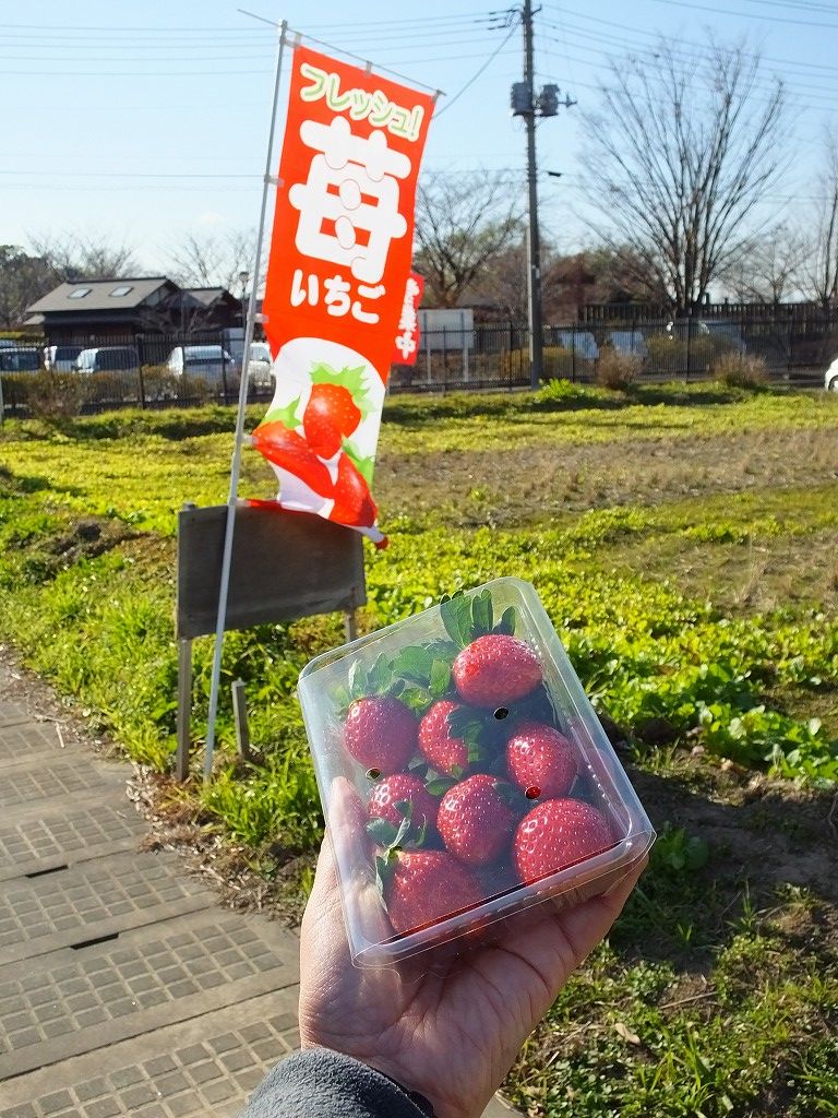 s-DSCF5230