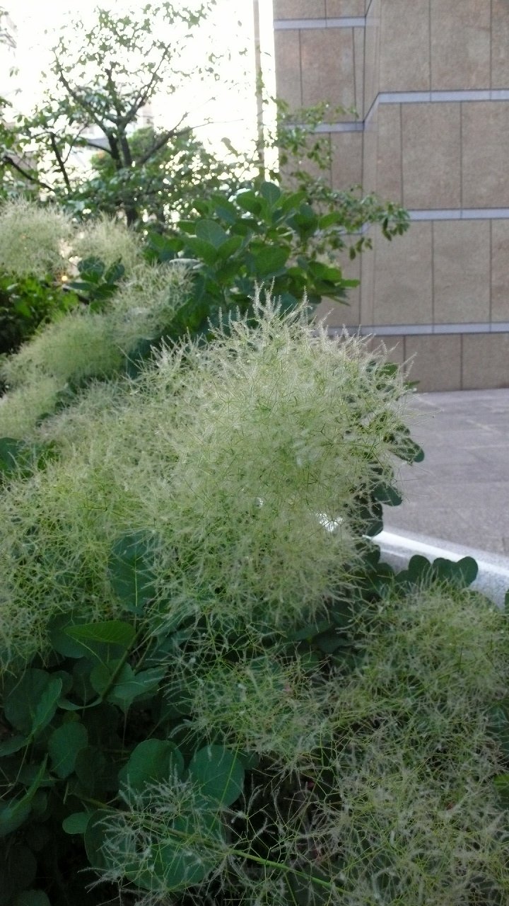 s-P1640532