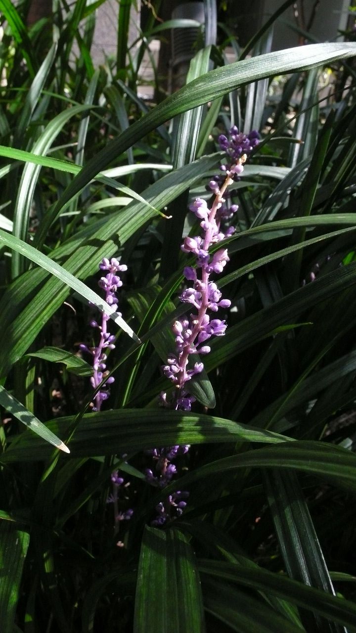 s-P1560898