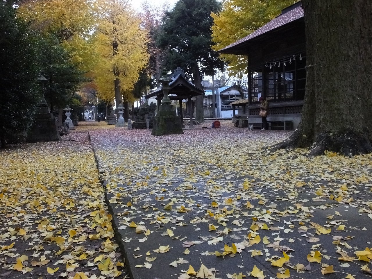 s-DSCF3468