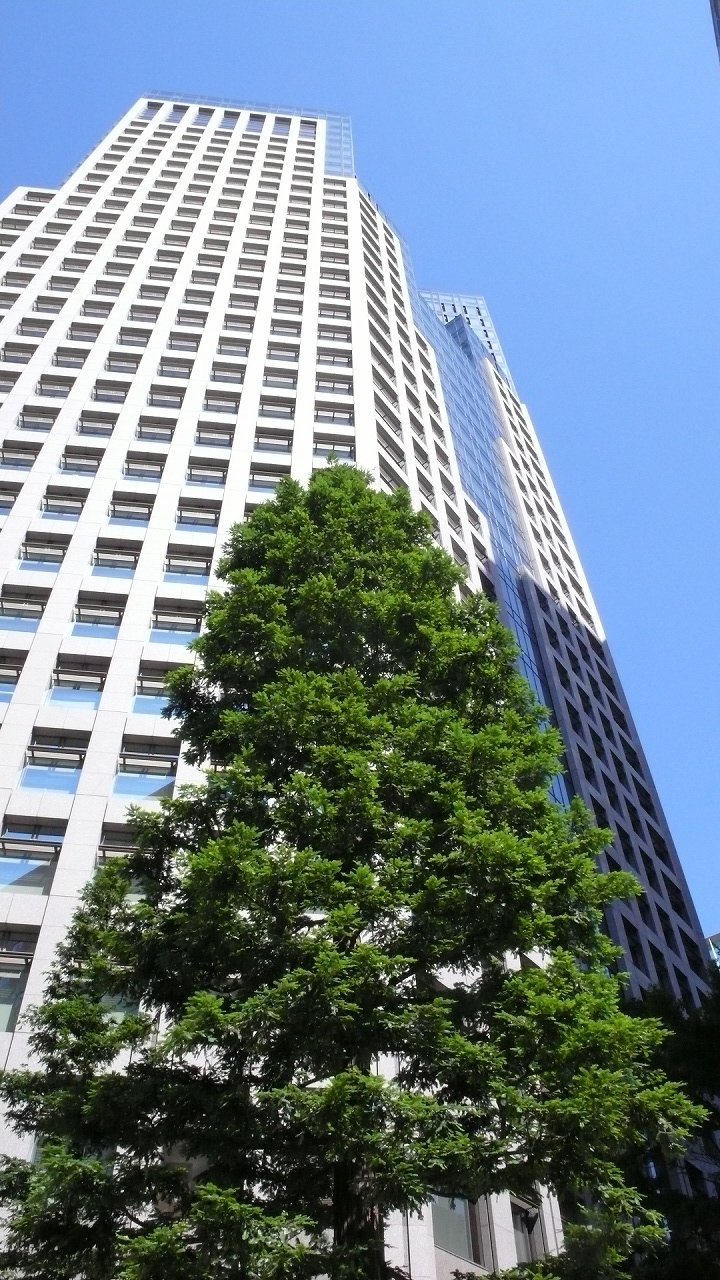 s-P1640728