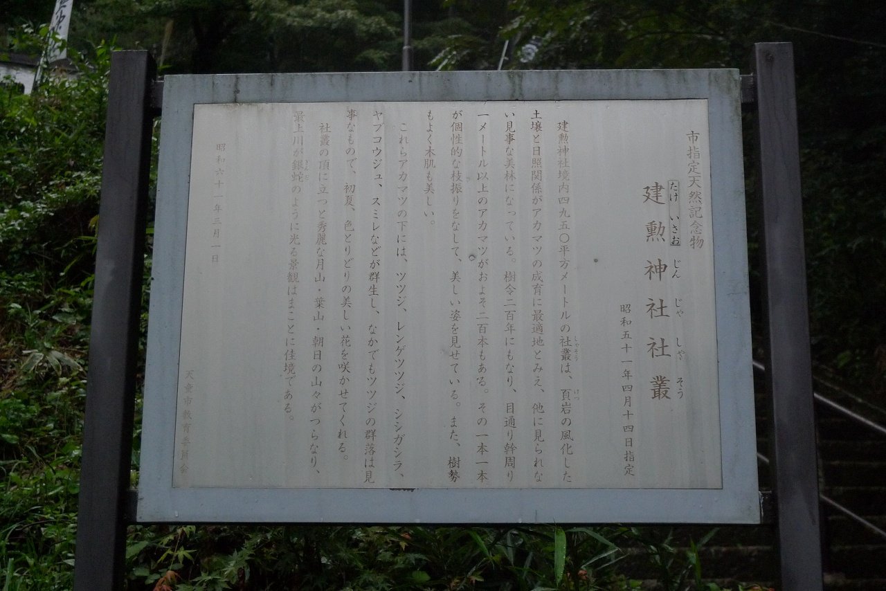 s-P1550158