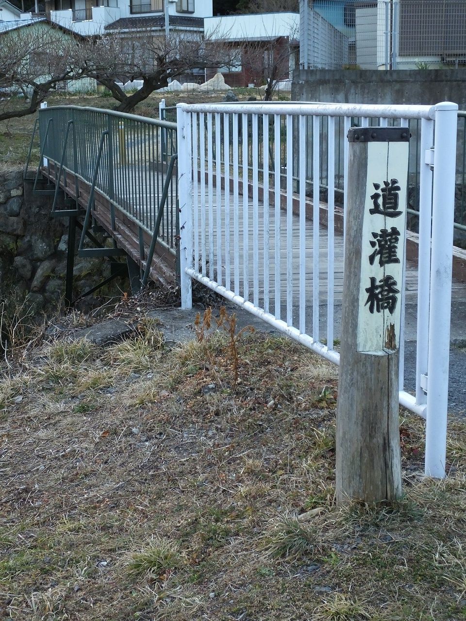 s-DSCF6257