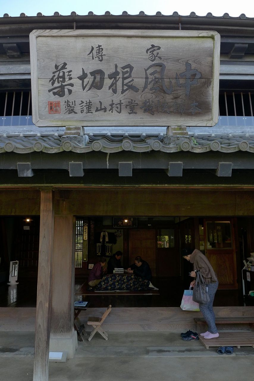 s-P1000490