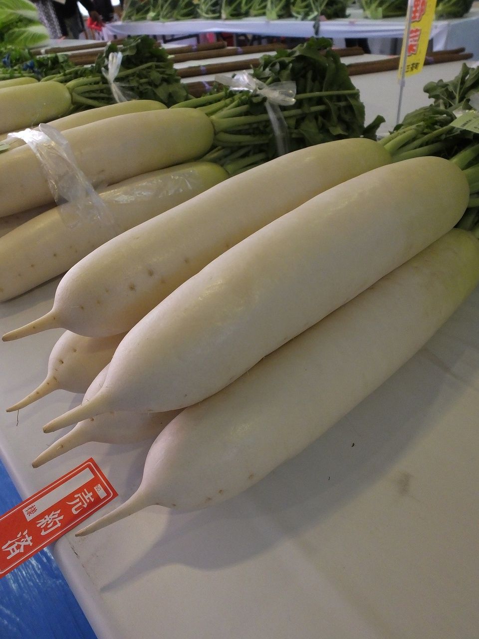 s-DSCF2714