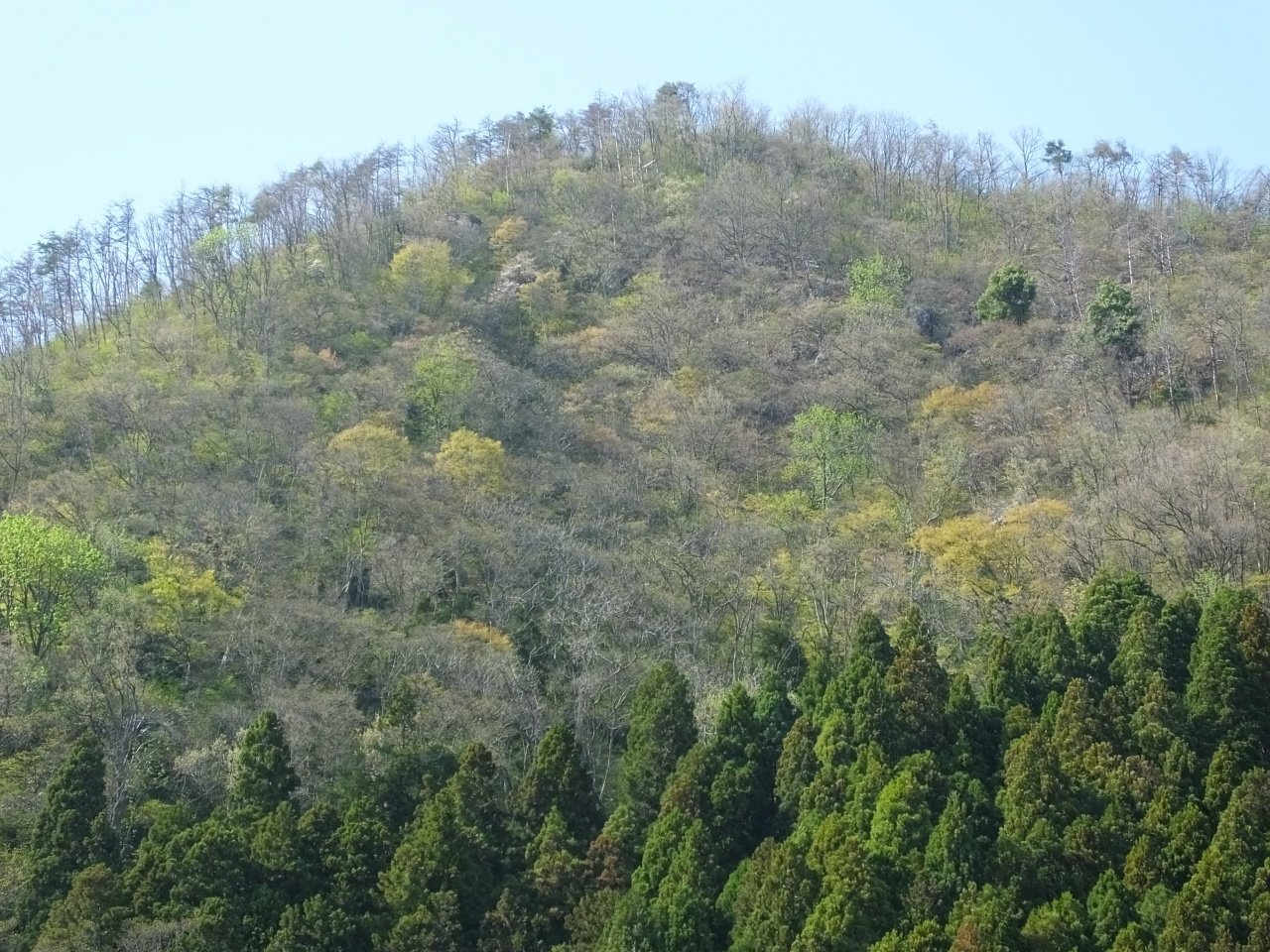 s-DSCF4859