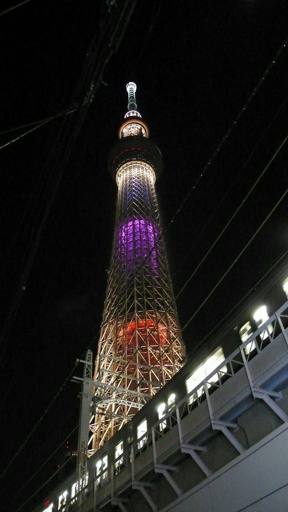 7¡Ë£µ