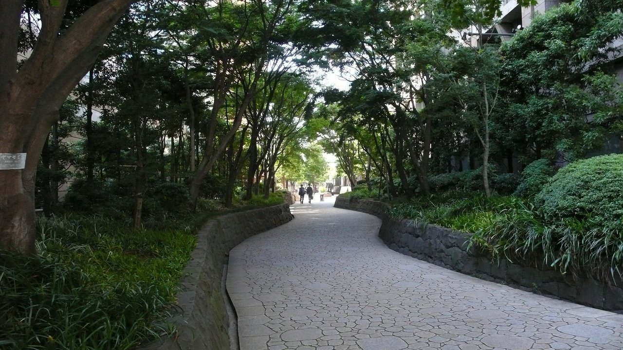 s-P1640733