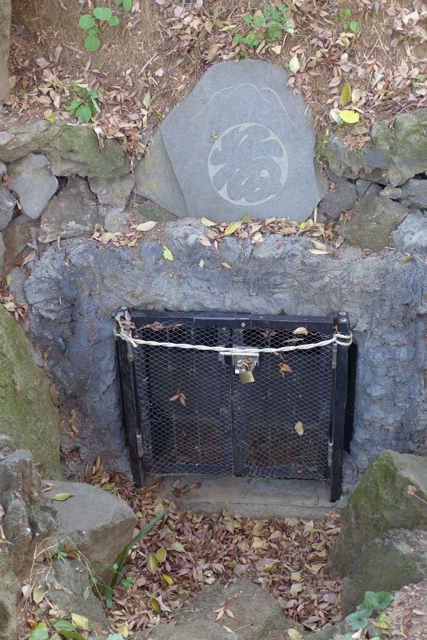 s-P1000555