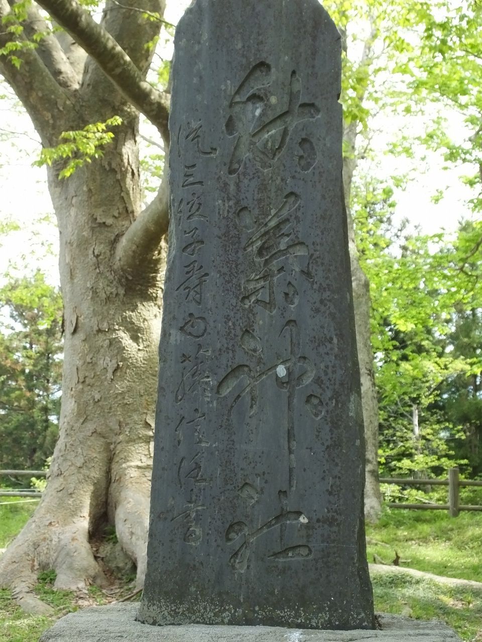 s-DSCF7308