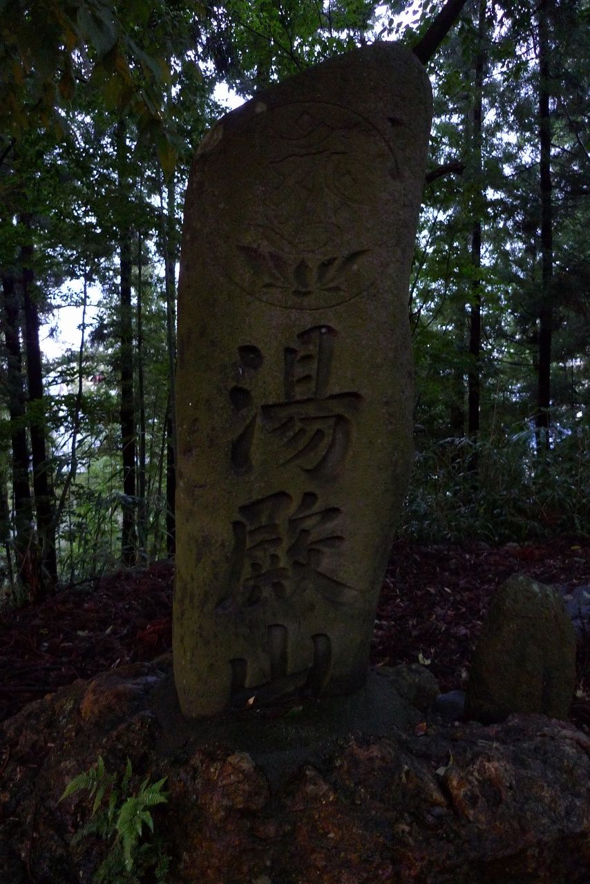 s-P1550168