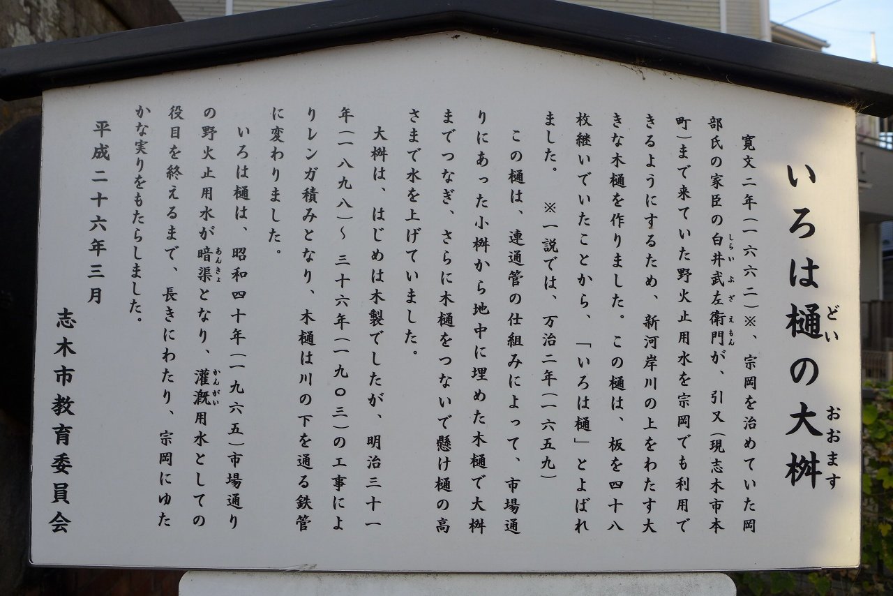 s-P1000574