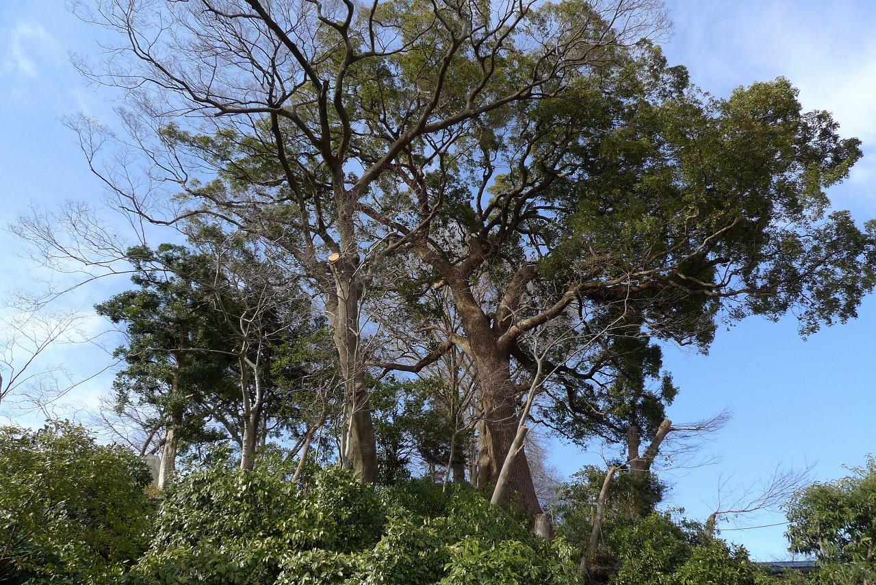 s-P1330228