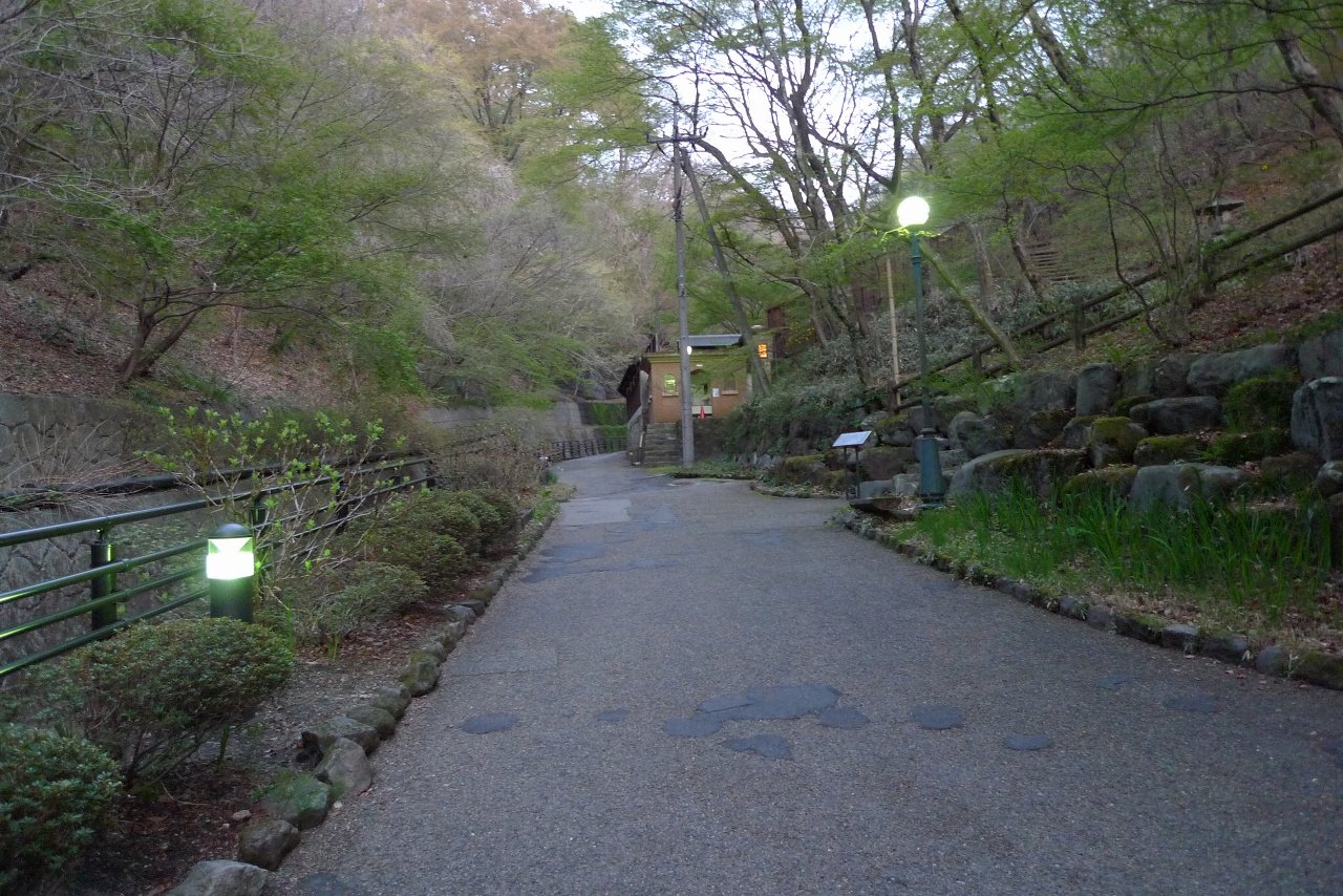 s-P1500519
