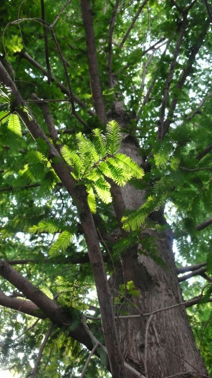 s-P1530089