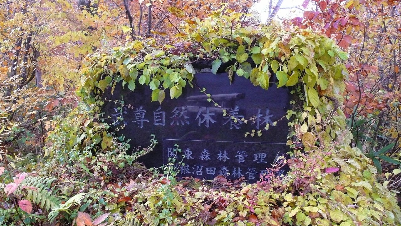 s-P1710622