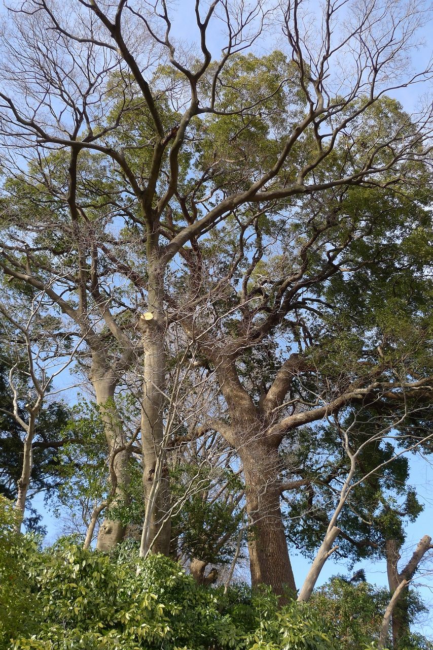 s-P1330227