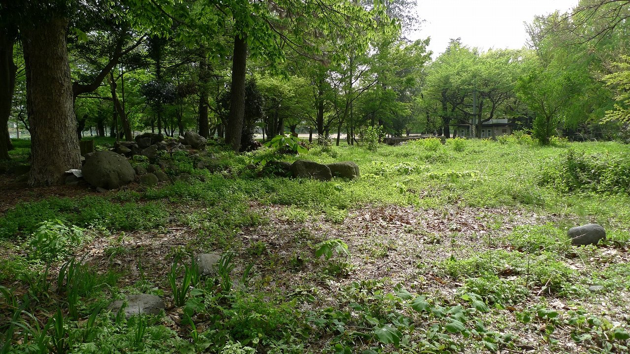 s-P1180312
