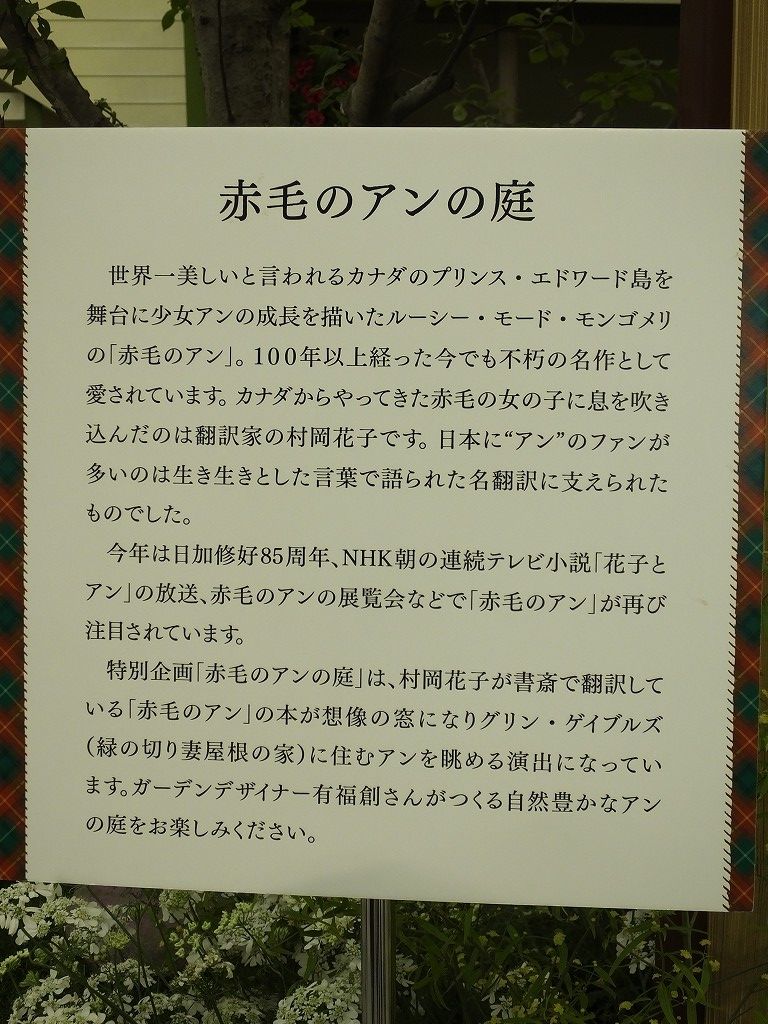 s-DSCF1166