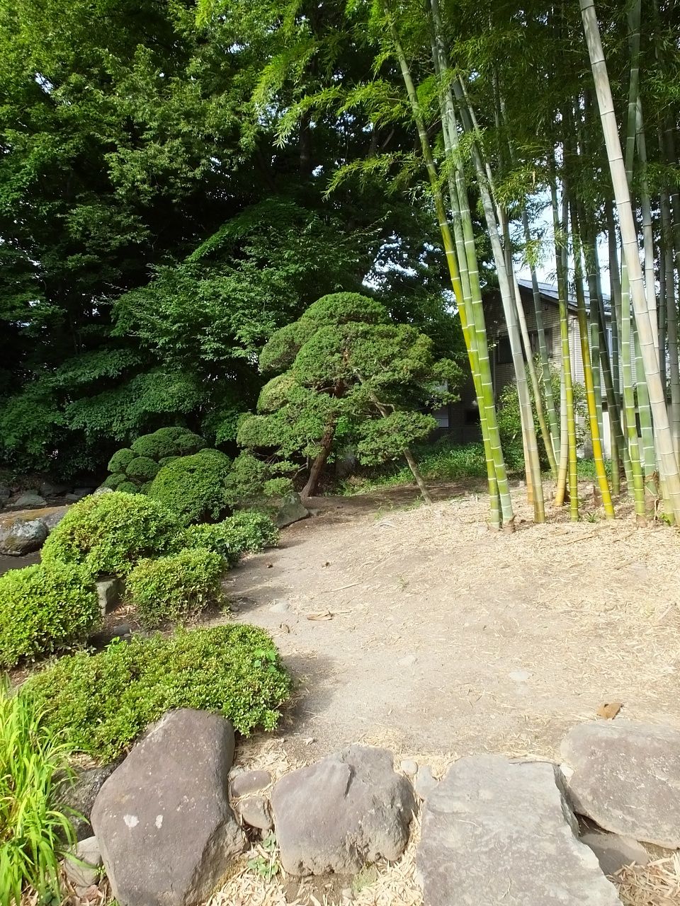 s-DSCF9741