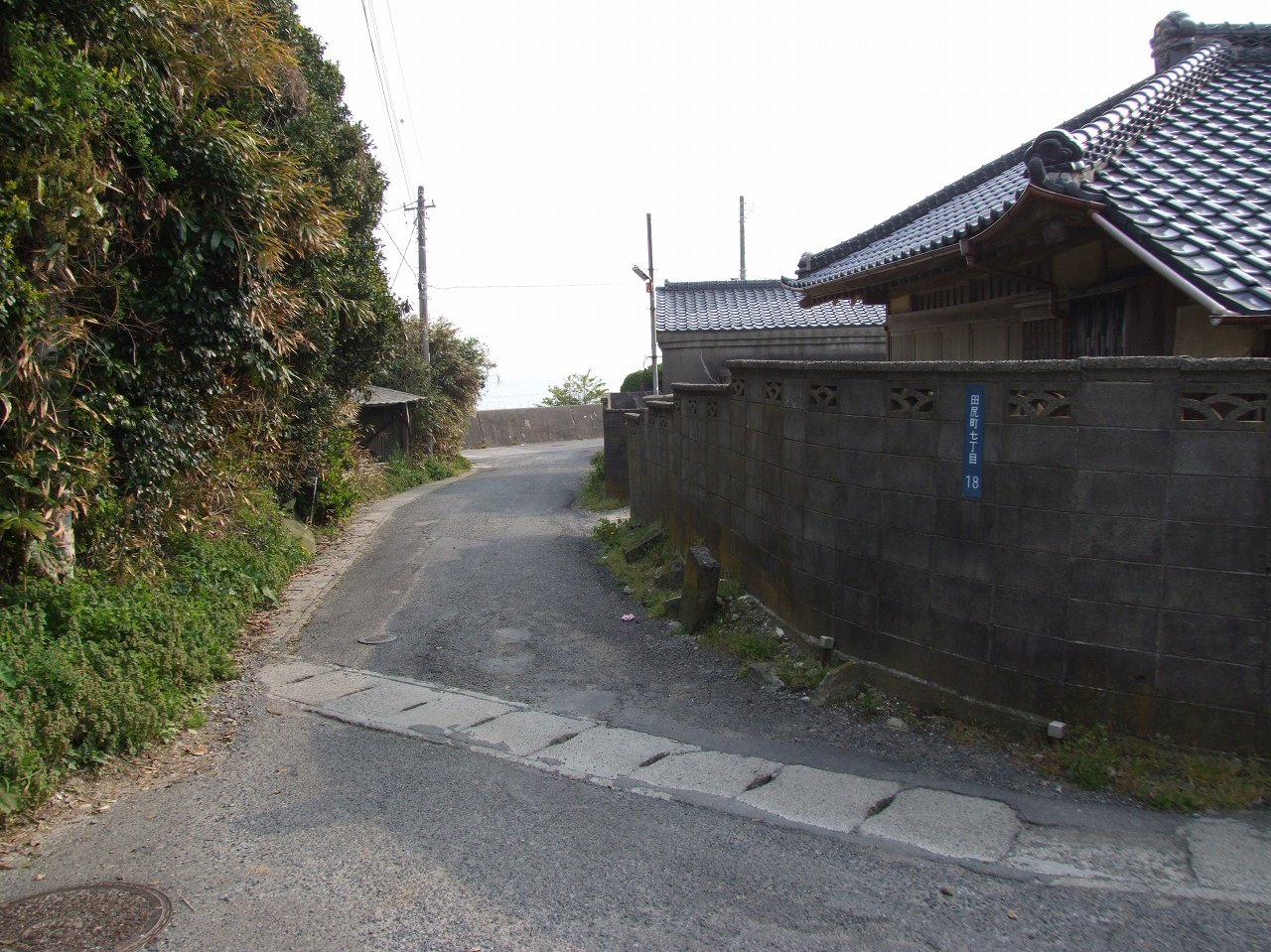 s-DSCF8178