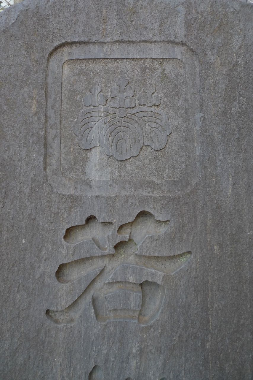 s-P1340419