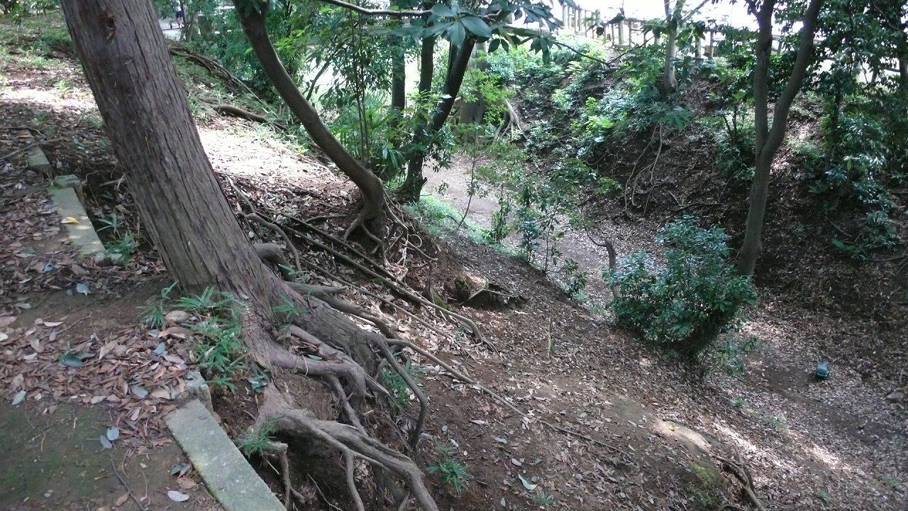 s-P1670709