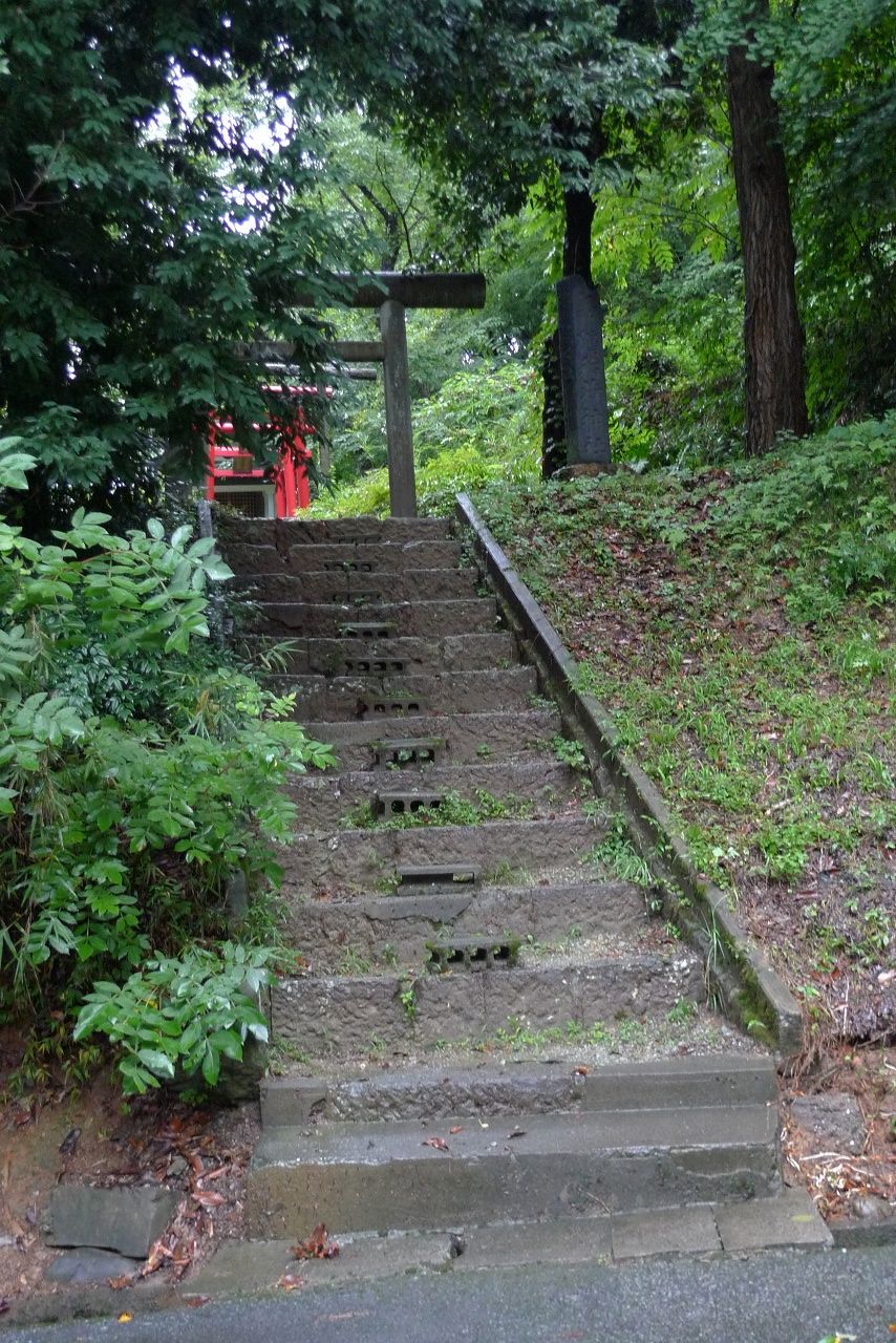 s-P1550154