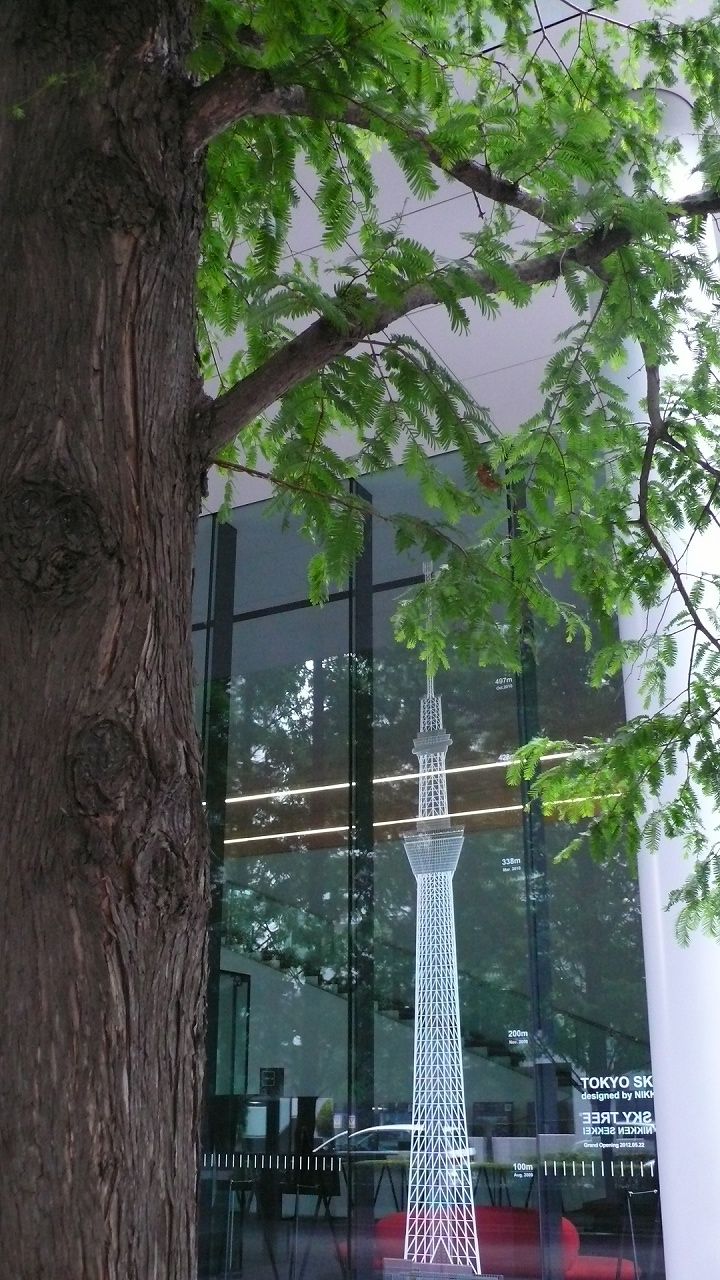 s-P1540695