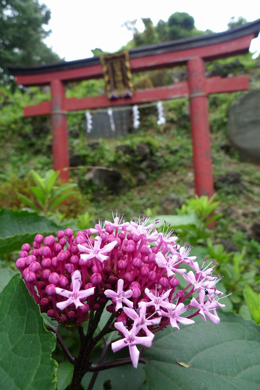 s-P1210021