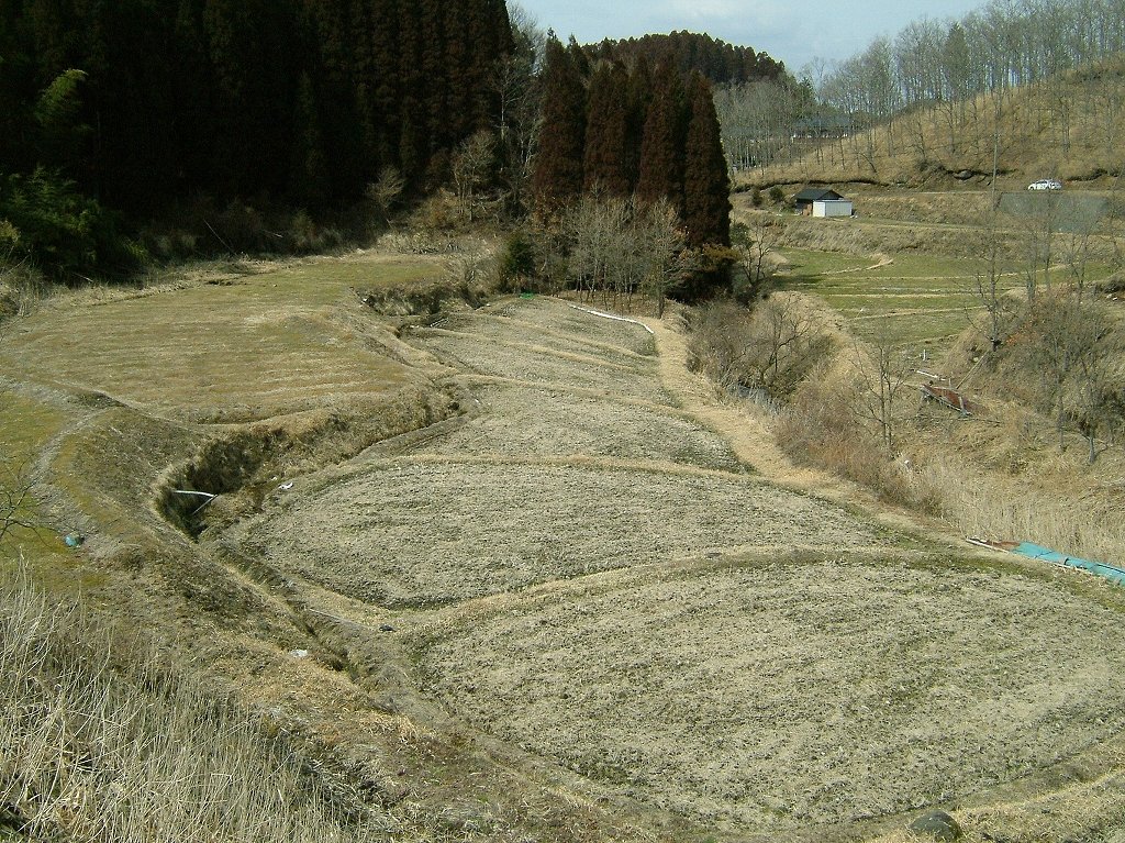 ¹õÀî²¹Àô¡Ê·§ËÜ¡¦°¤ÁÉ¡Ë2005ǯ3·î13Æü