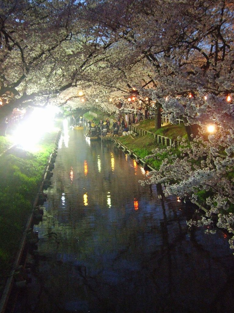 Àî±Û¡¦½Õ¤Î¿·²Ï´ßÀî¤Î½®Í·¤Ó¡Ê2012¡Ë