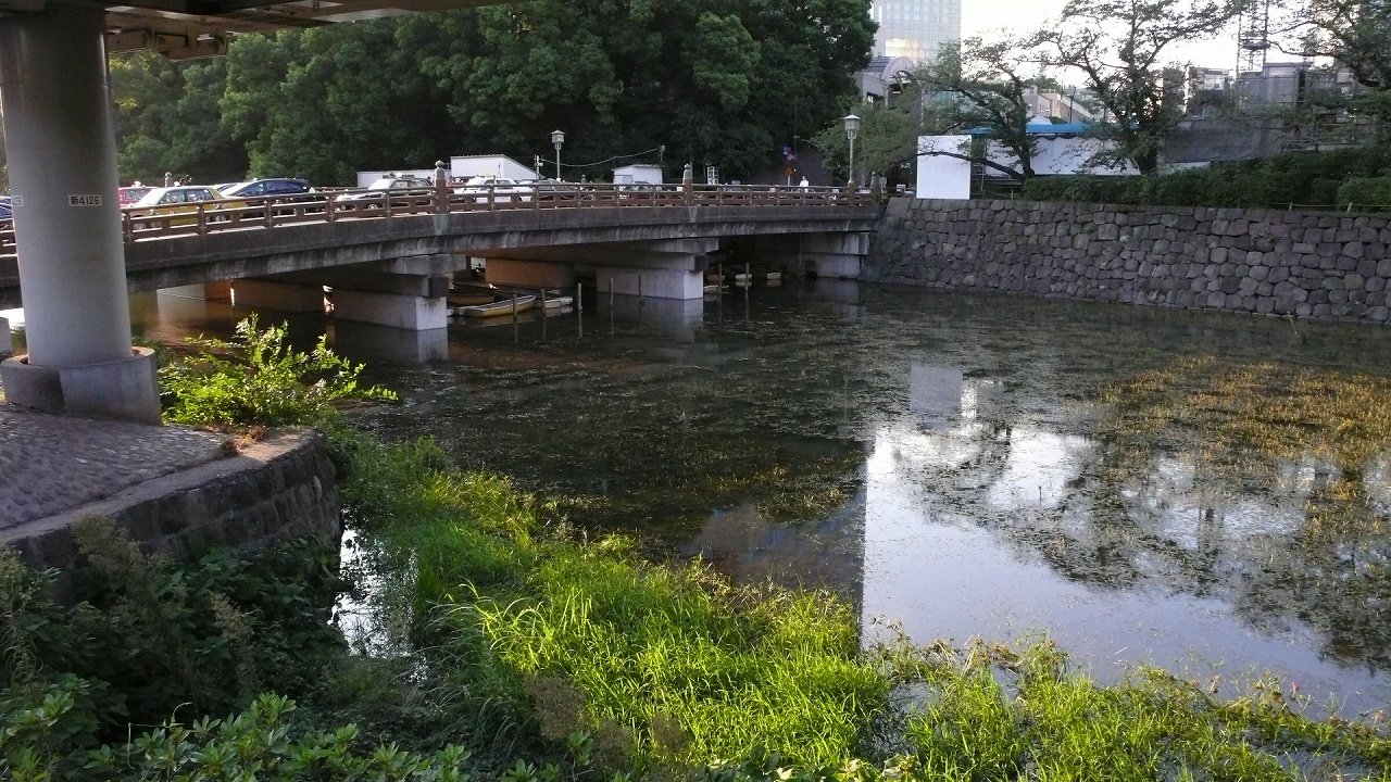 s-P1700134