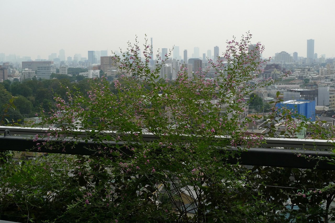 s-P1240359