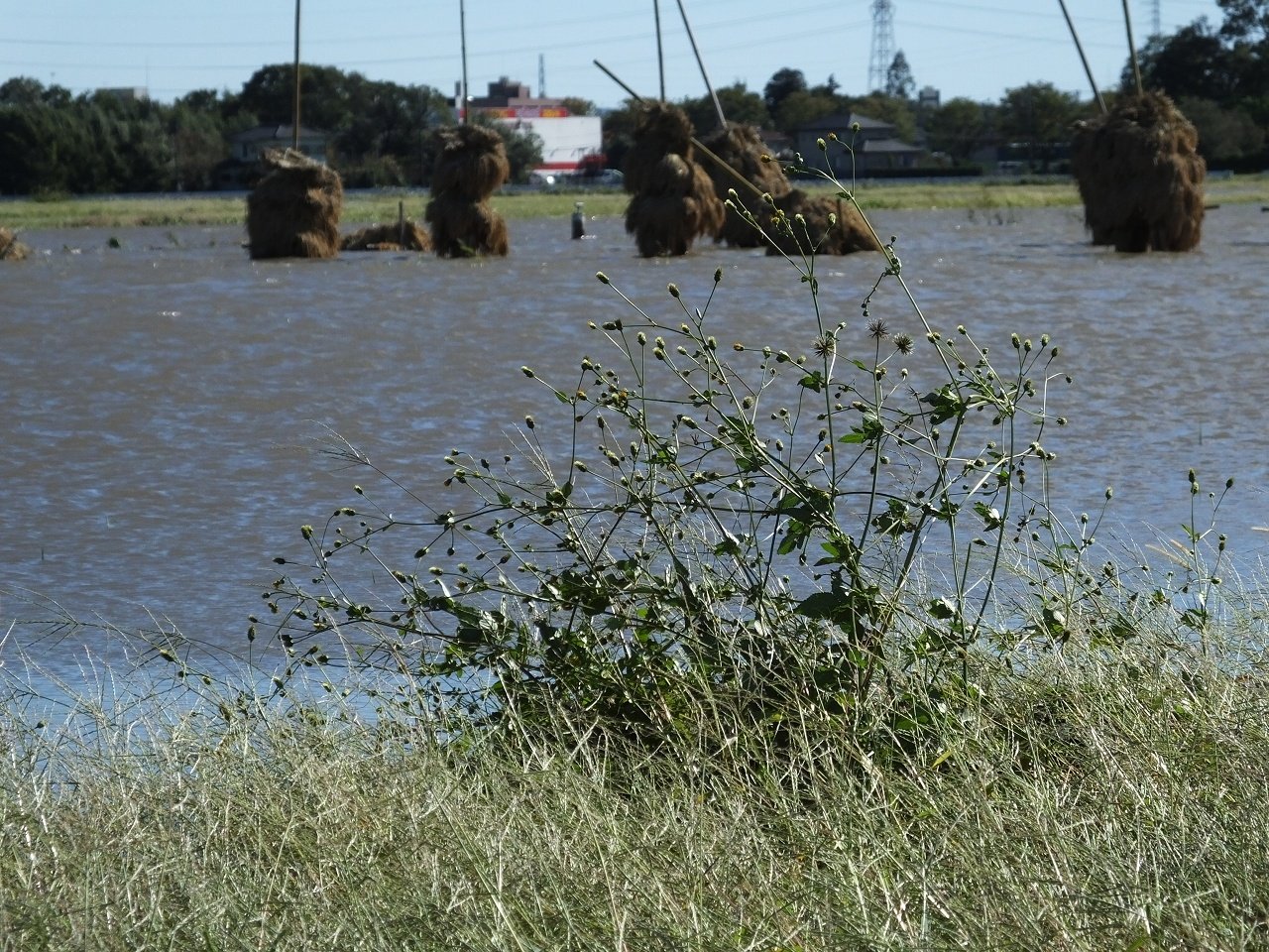 s-DSCF1425