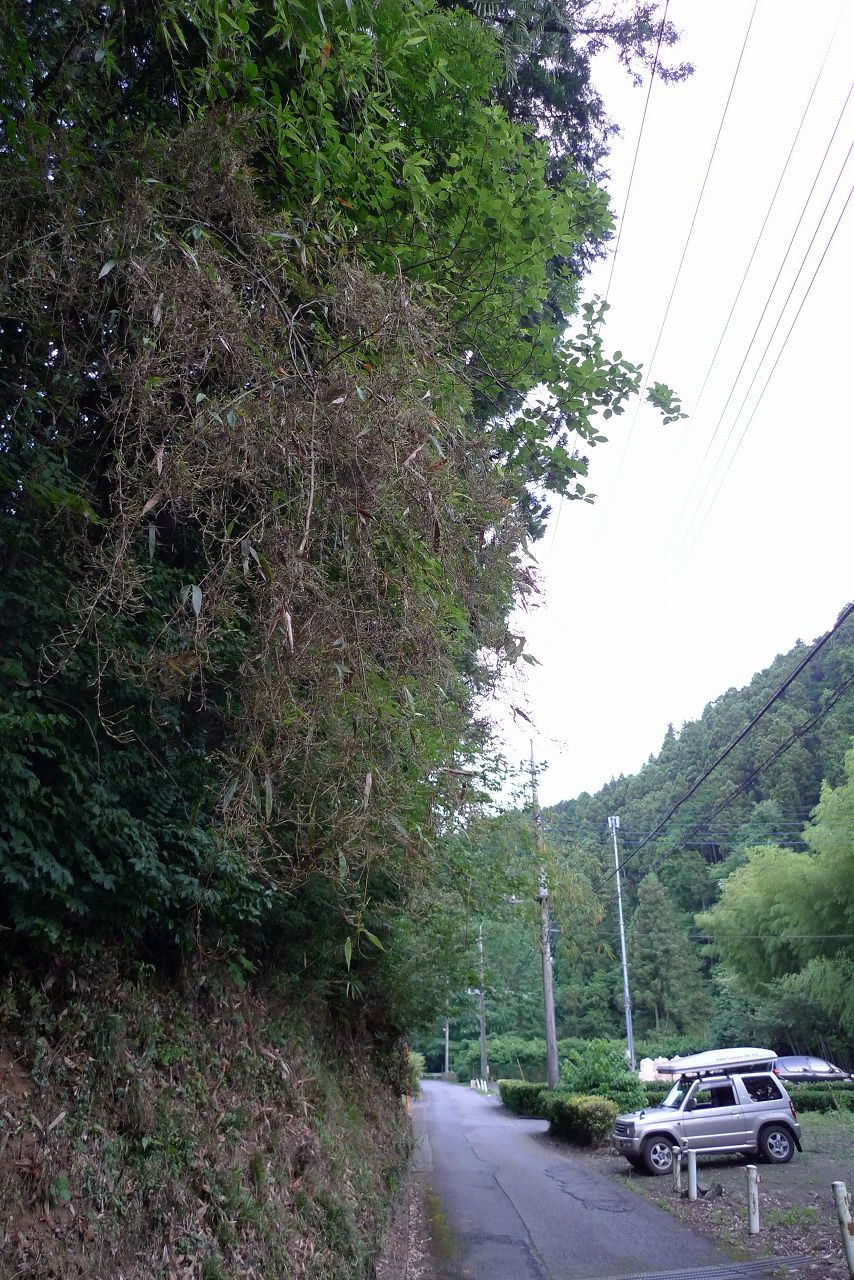s-P1380021