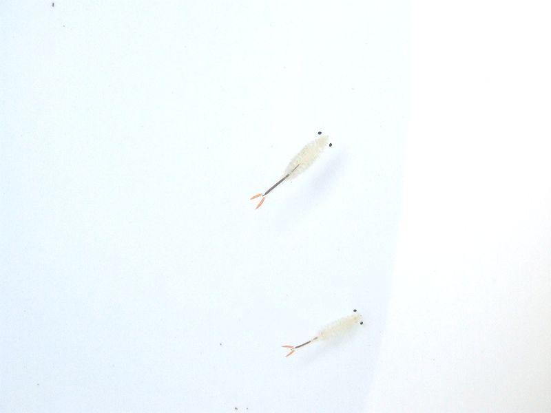 ddeb5f48