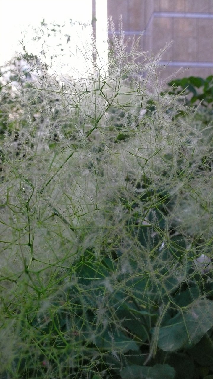 s-P1640538