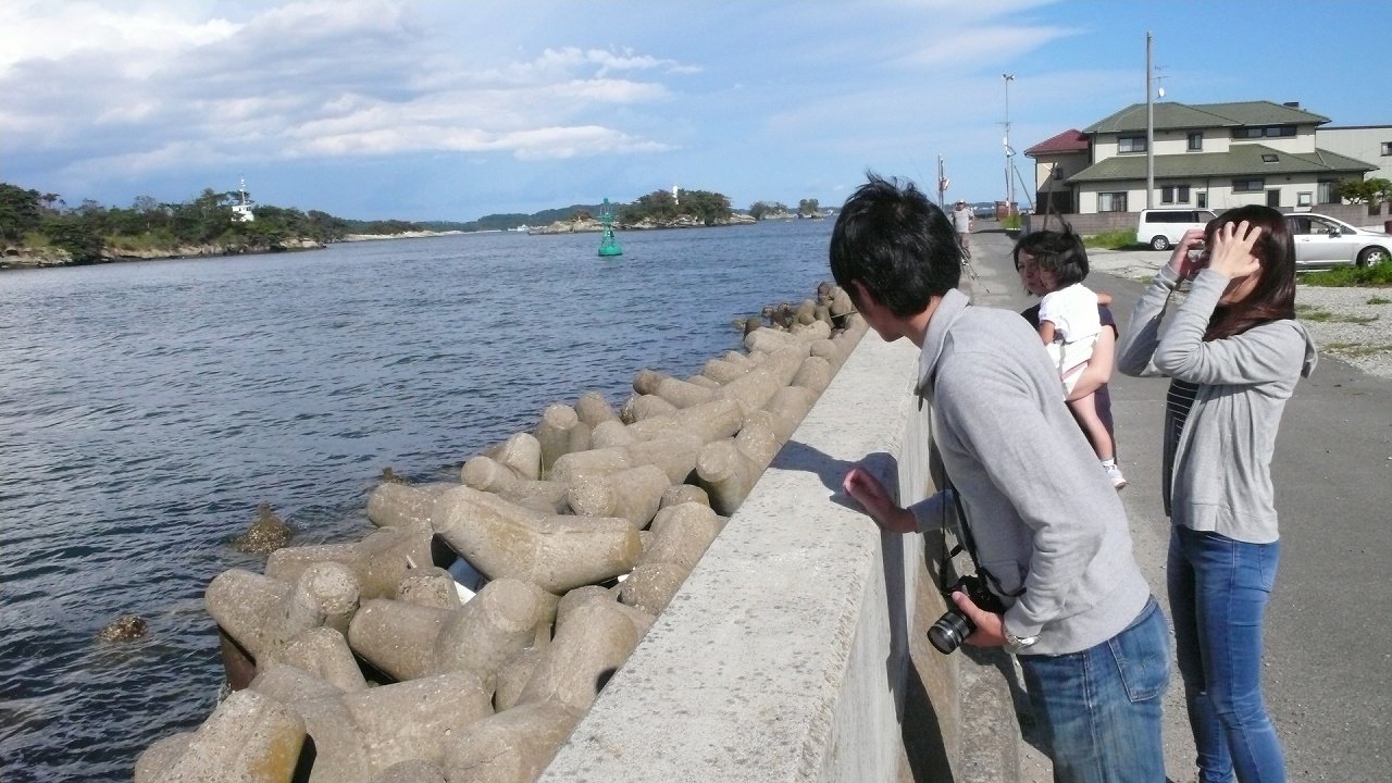 s-P1550632