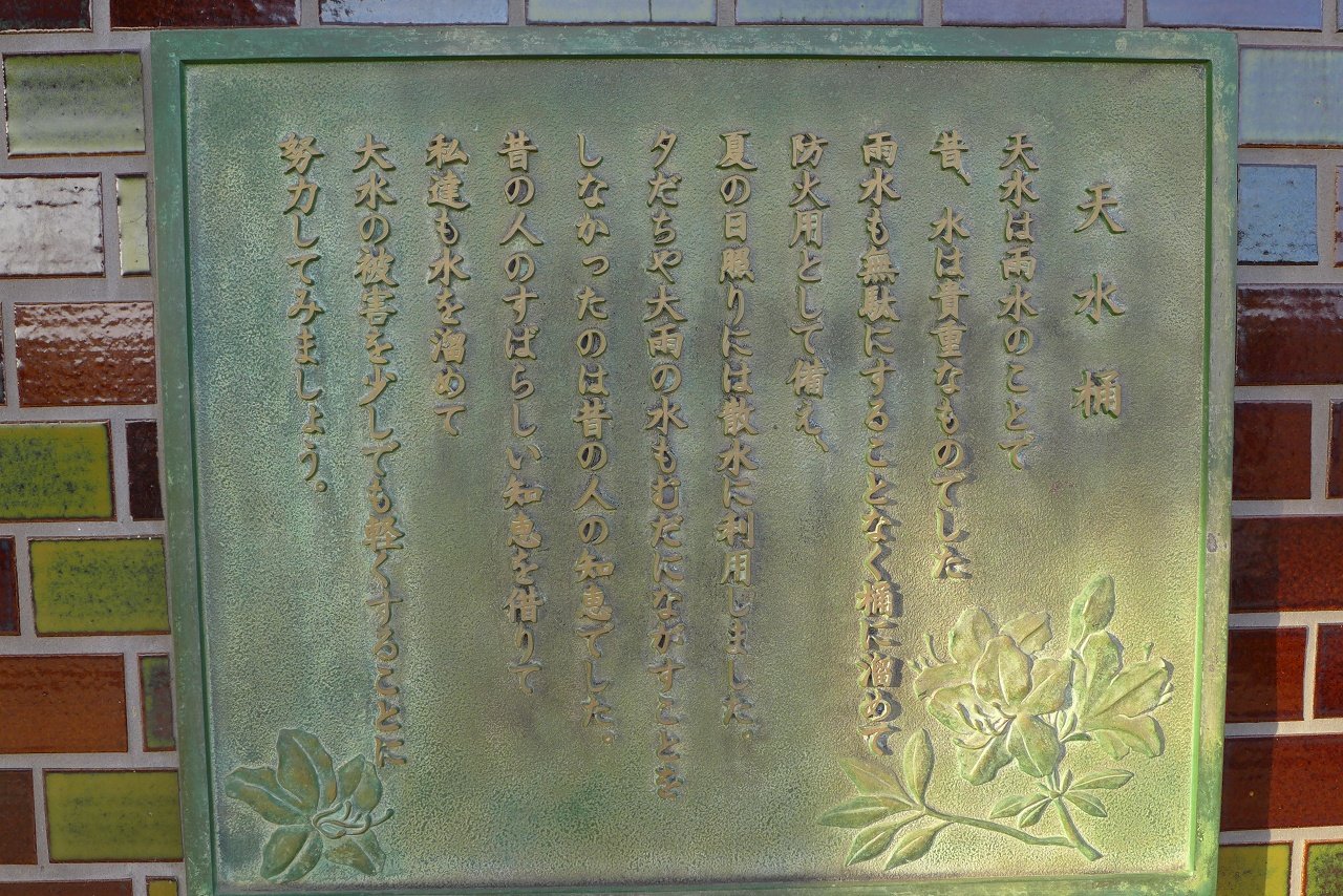 s-P1000585