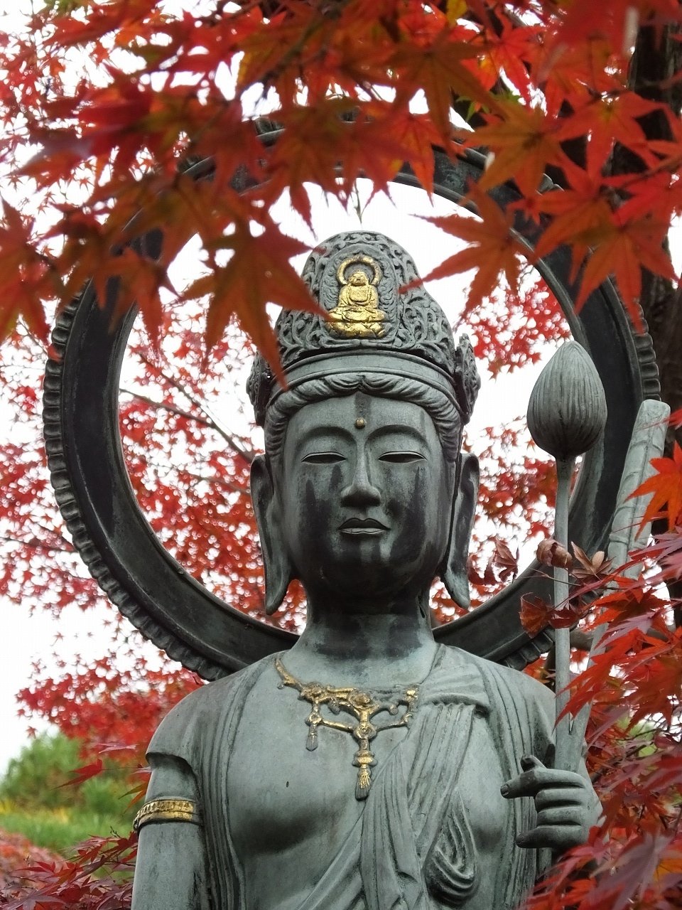 s-DSCF8160