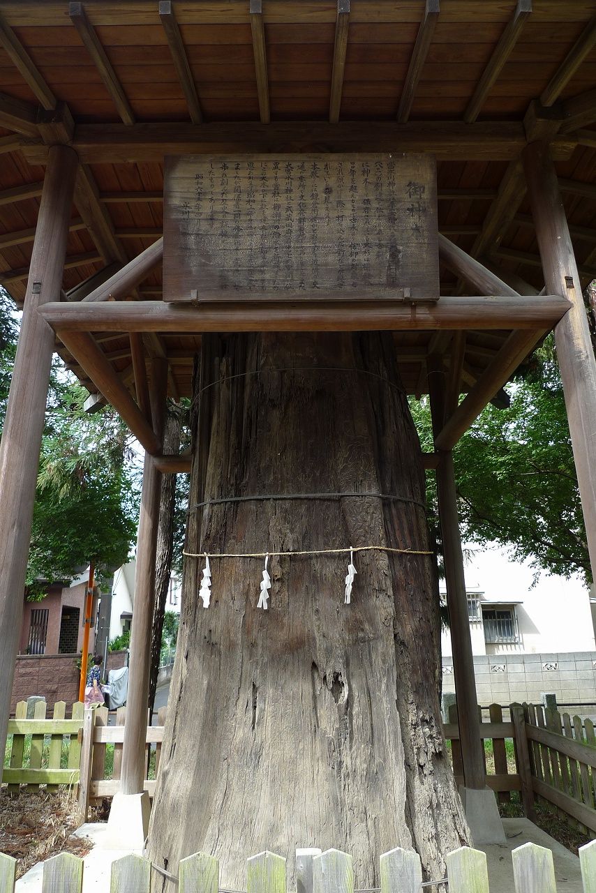 s-P1210064