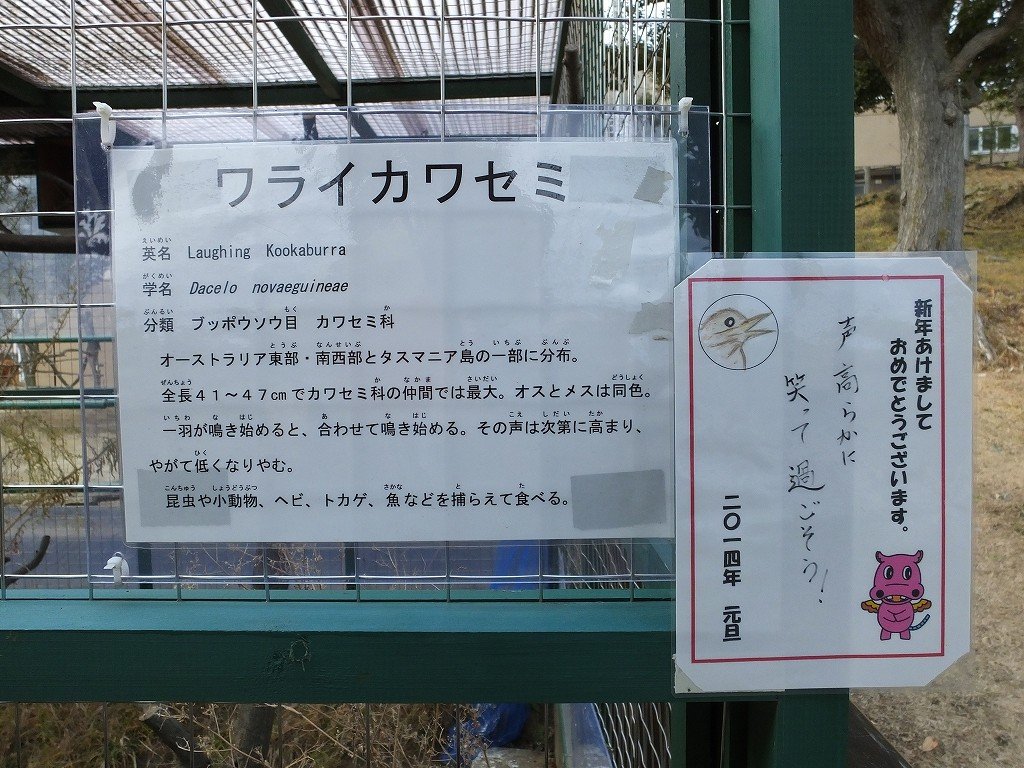 s-DSCF6621